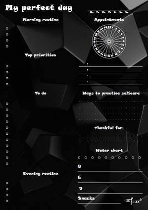 Планувальник щоденник My perfect day На Чорному стилі LifeFLUX А5 62 аркуші Чорний