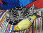 Іграшка для котів плюшева 3D риба Карась CatNip з котячою м'ятою, фото 2