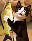 Іграшка для котів плюшева 3D риба Карась CatNip з котячою м'ятою, фото 3