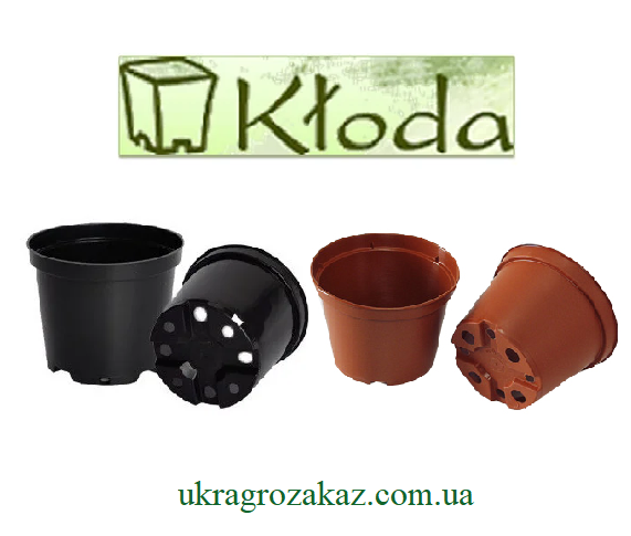 Горшок для рассады 0,6 л (11,4x8,8) черный ( производство Польша Kloda) 500 шт/уп - фото 1 - id-p1083672133