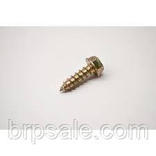 Шестигранний самонарізний гвинт BRP Can-Am Sea-doo Ski-Doo Screw hex. taping 12