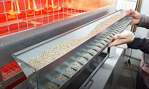 Годівниця для курчат, бройлерів, перепелів