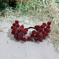 Ягідки Калини в цукрі Червоні (пучок 40 ягід)