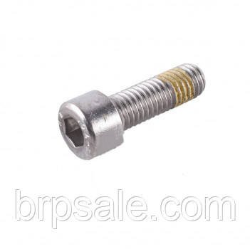 Гвинт M8X25 Sea-Doo BRP Screw pivot *PIVOT SCREW M8 X 25, фото 1