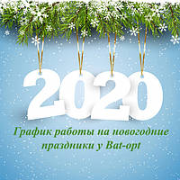 Новогодний отпуск команды Bat-Opt!)))