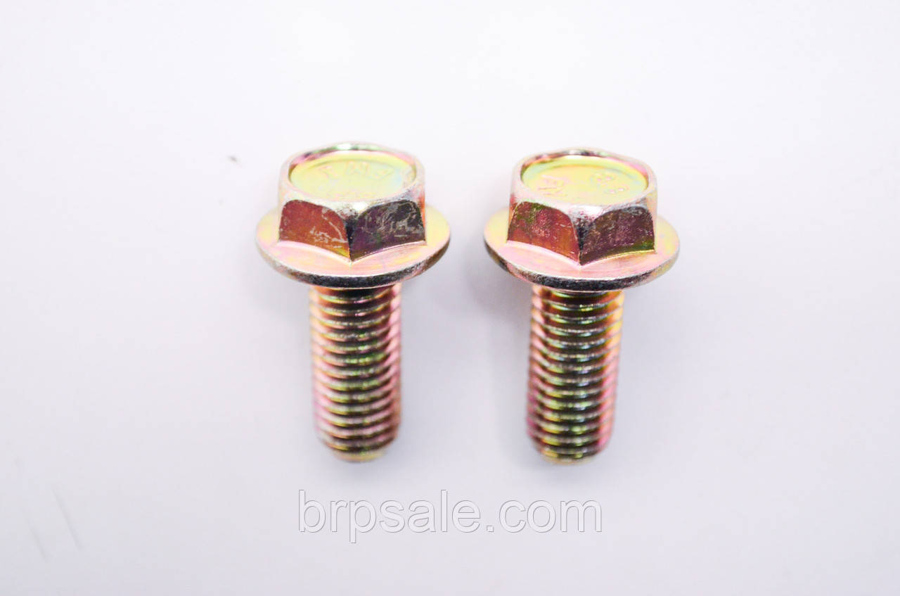 Шестигранний гвинт M10x25 BRP Can-Am Sea-doo Ski-Doo Screw flange 6921