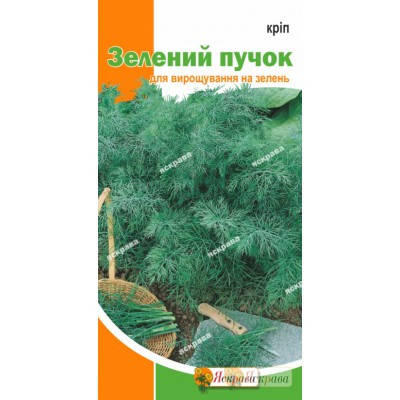 Насіння кропу кущового "Зелений пучок", 5 г, фото 1