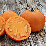 Солідо F1 (500 нас.) насіння томату Spark Seeds, фото 2