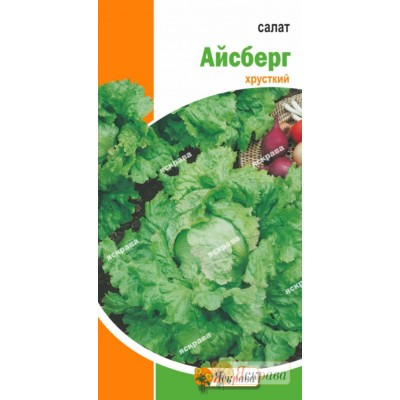 Насіння салату "Айсберг", 1 г