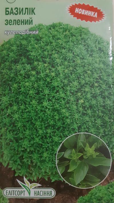 Насіння Базилік зелений кулястий 0,5 г, фото 1