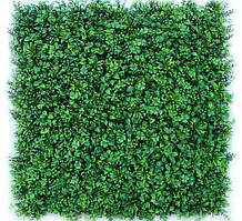 Декоративне зелене покриття-фітостіна "Оазис", Engard 100х100 см (GCK-09)
