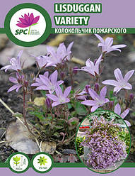 Дзвіночок Пожарського Lisduggan Variety