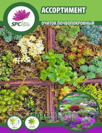 Очиток почвопокривний (асортимент), фото 1