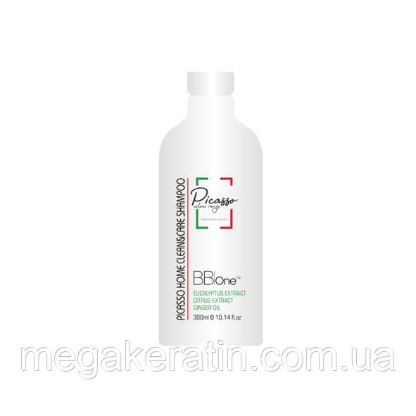 Шампунь  Picasso Home Clean&Care Shampoo 300 мл