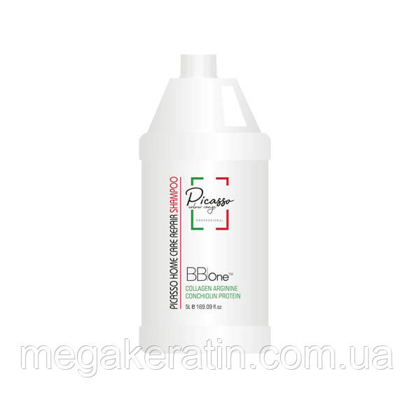 Шампунь Picasso Home Care Repair Shampoo 5000 мл