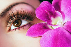 Eyelash extension 1 by 1..3 D..Professional product.300 aed. 