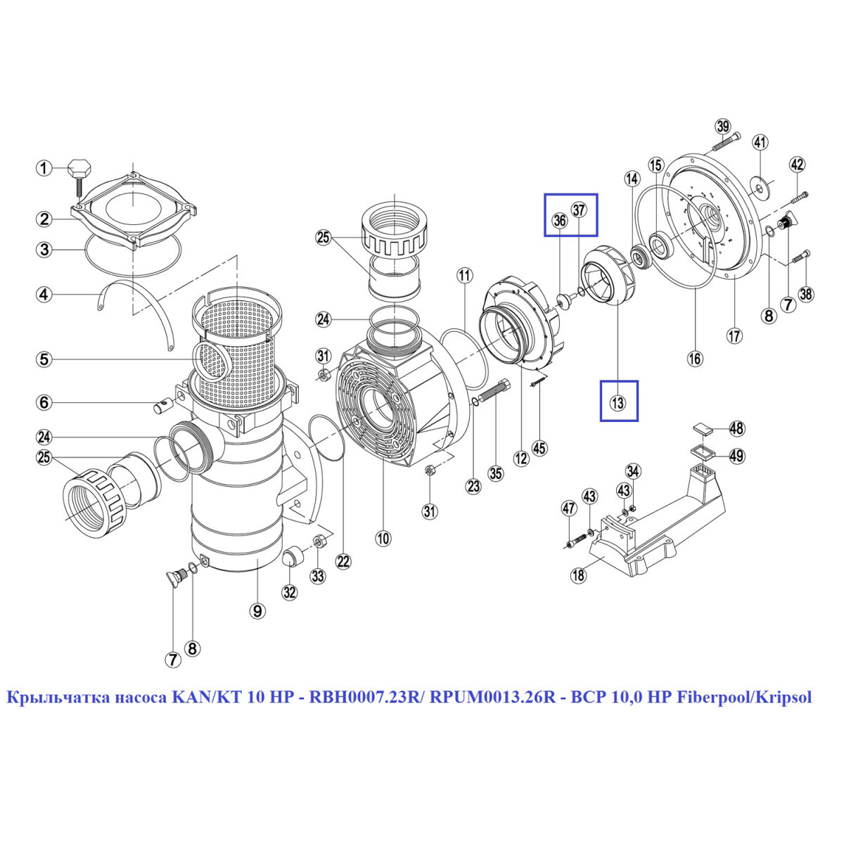 Крильчатка насоса KAN/KT 10 HP - RBH0007.23R/ RPUM0013.26R - BCP 10