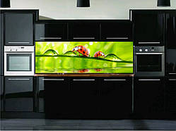 Кухонний фартух, скинали (наклейка, пвх-пластик, композит).