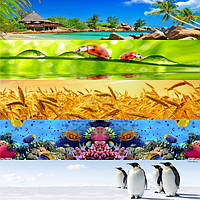 Природа і тварини