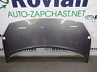 Капот Renault SCENIC 2 2003-2006 (Рено Сценик 2), 7751474289 (БУ-182170)