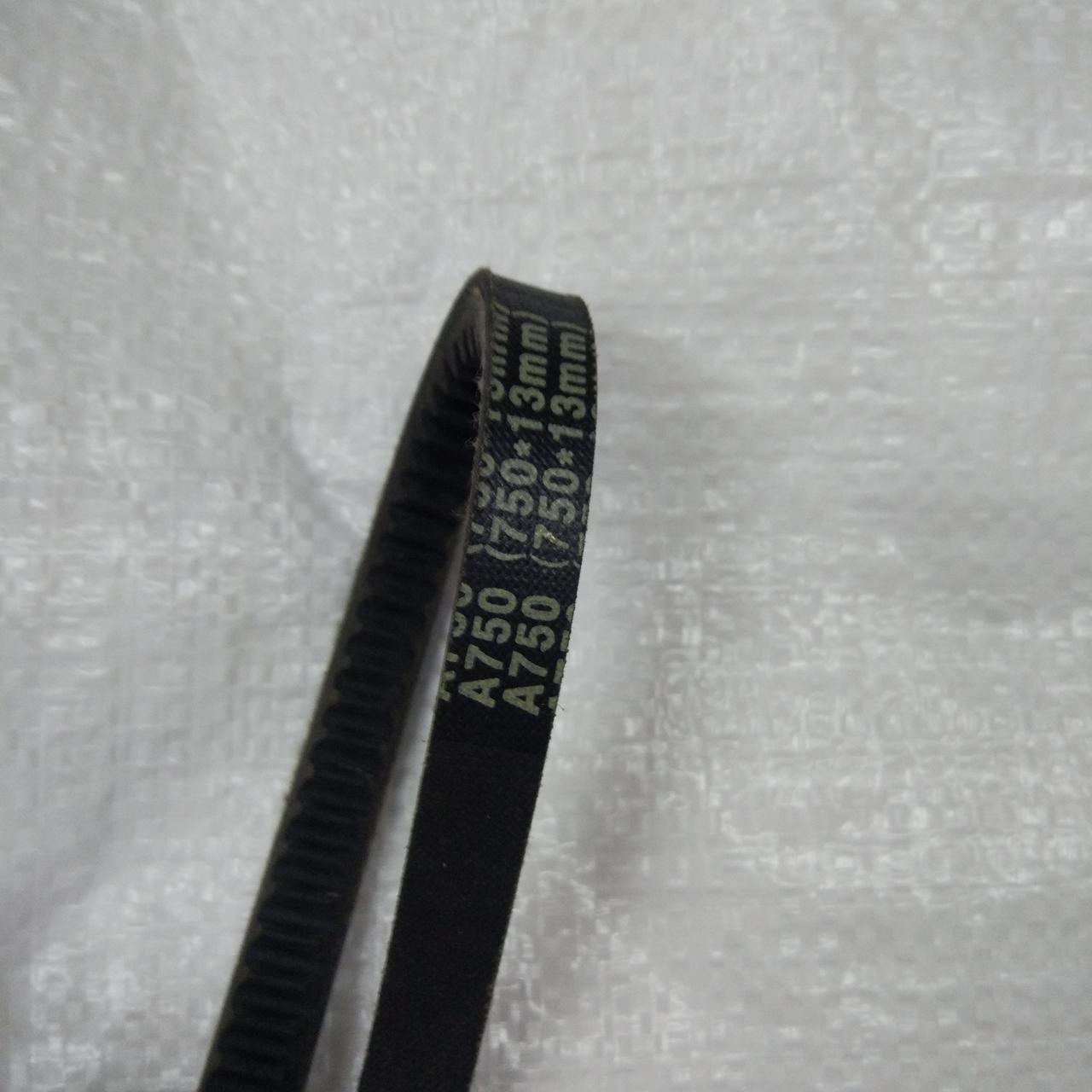 Ремінь А-750 зубчастий, фото 1