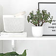 Кошик RISATORP  IKEA 902.816.18, фото 4