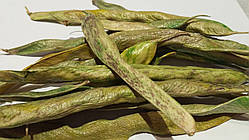 Стручки квасолі сушені, 15 шт\уп, дл-6-15 см