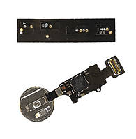 Шлейф кнопки меню (home flat cable) для Apple iPhone 7 | 7 Plus | 8 | 8 Plus, работает по Bluetooth (Белый)