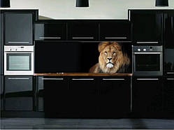 Кухонний фартух, скинали (наклейка, пвх-пластик, композит).