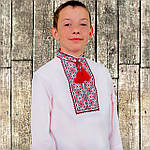 Вишиванка дитяча для хлопчика "Руслан" із червоною вишивкою, фото 2