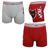 Труси-шорти дитячі для хлопчика GABBI SHM-19-11 у подарунковій упаковці (2 шт.) Бордовий розмір 34 (11657)