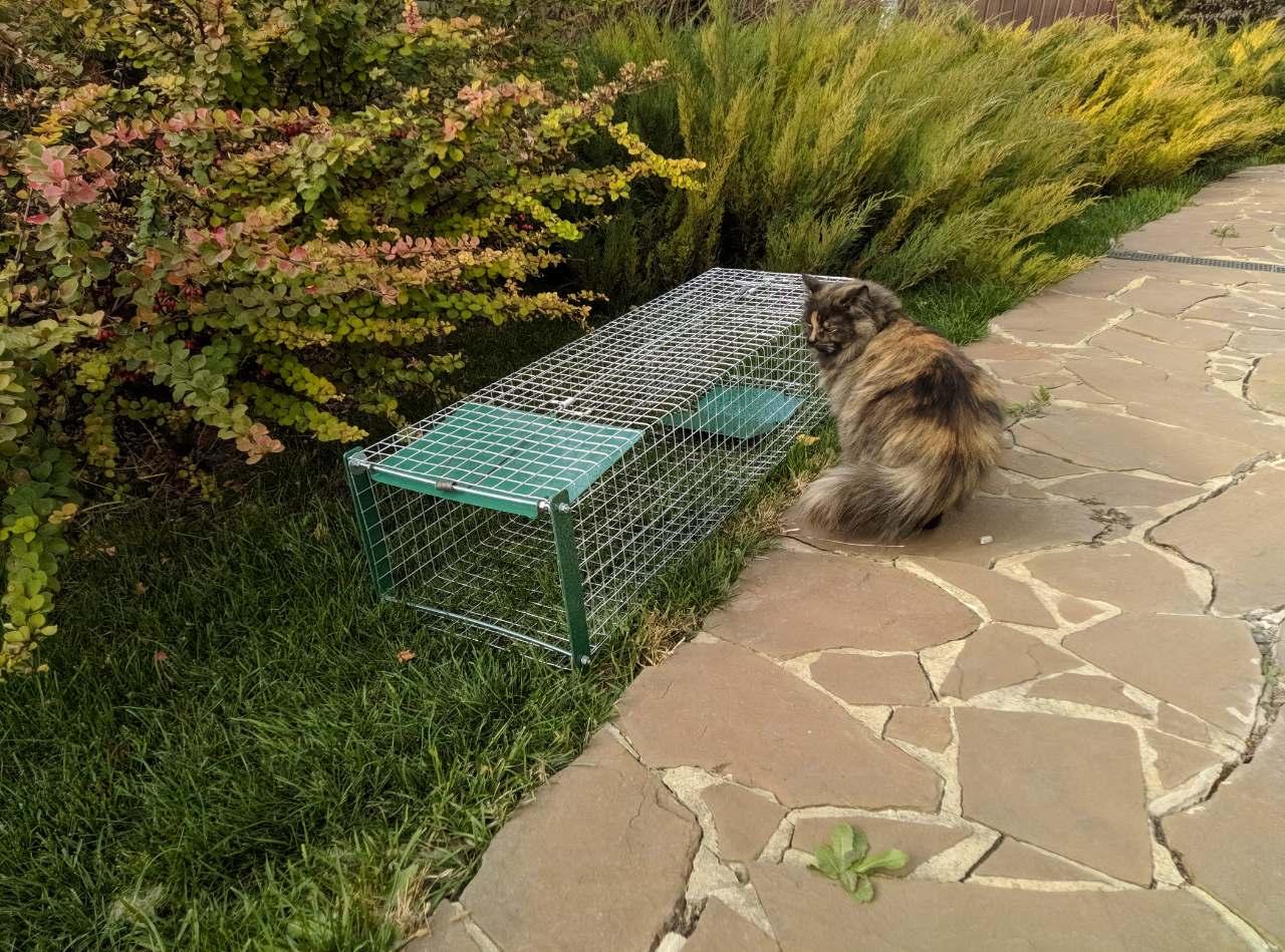 Живоловушка метрова. Живоловка для гуманного відлову котів. Котоловушка. Суперкотоловка 1000 х 300 х 250.