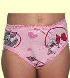 Труси дитячі, р.90-98,98-104,104-110,110-116, фото 3