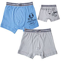 Труси-шорти дитячі для хлопчика "МАРКА" Gabbi (2 шт.) р. 30 блакитний/сірий