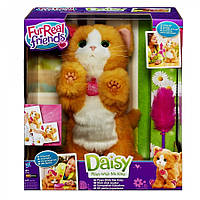 Дейзи интерактивная игривая кошечка - FurReal Friends Daisy Hasbro
