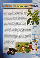 Зернятко № 6. Дитячий християнський журнал (6+, рос.), фото 2