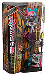 Лялька Monster High Кетті Нуар Бу Йорк — Boo York City Schemes Catty Noir (CJF27), фото 5