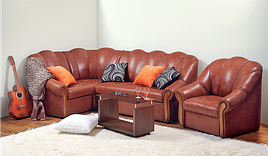 Кут Фаворит НСТ Альянс