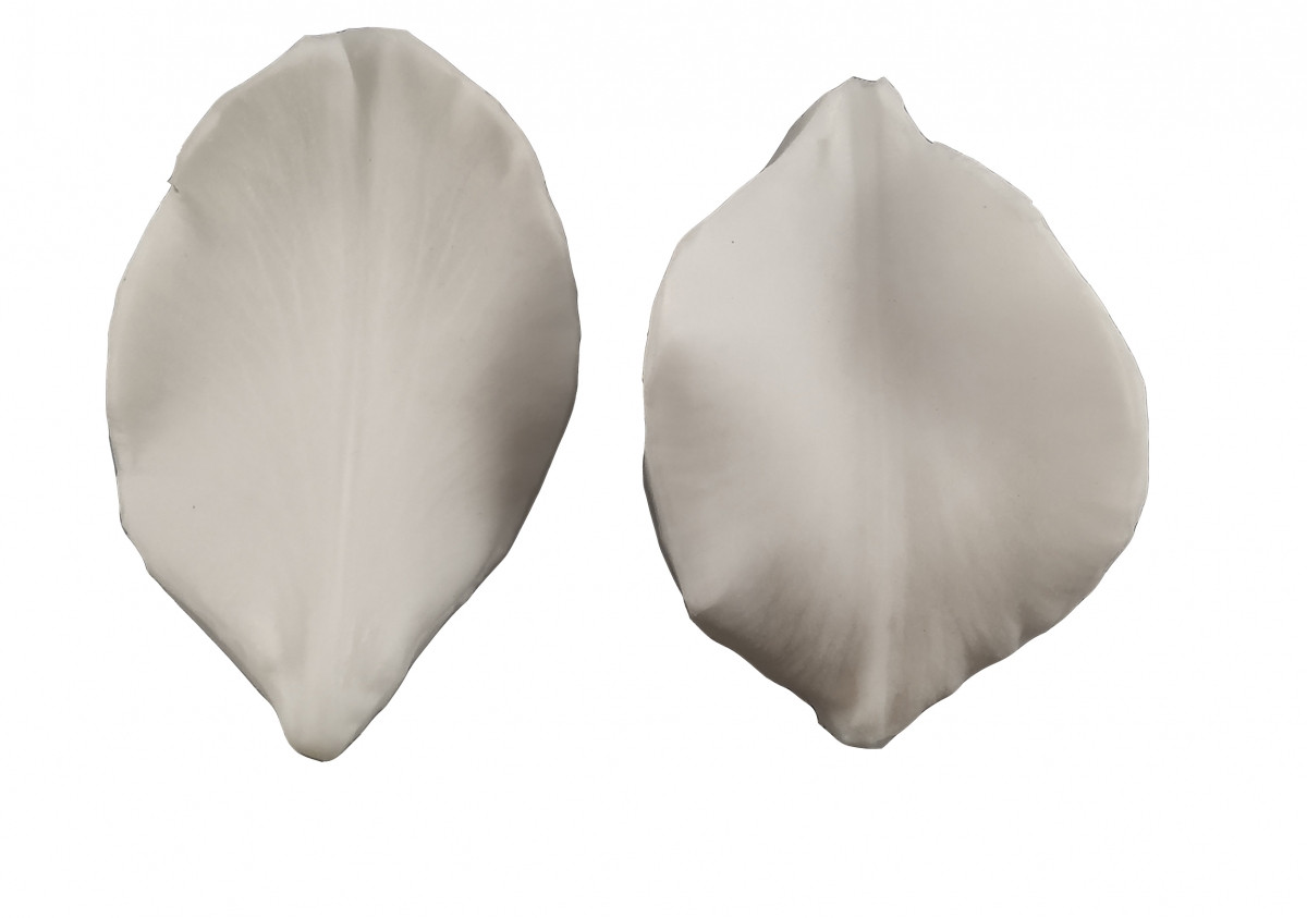 Вайнер Пелюстка гладіолуса