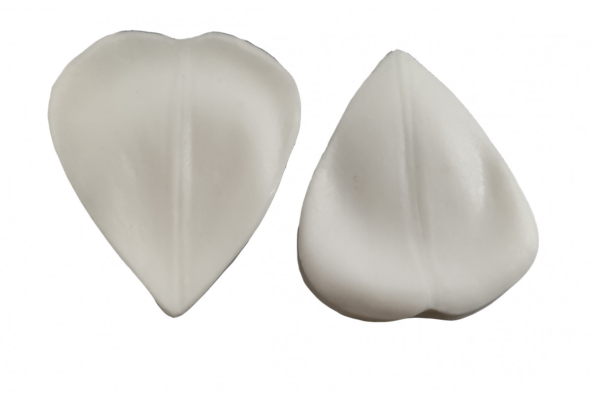 Вайнер Пелюстка тюльпана