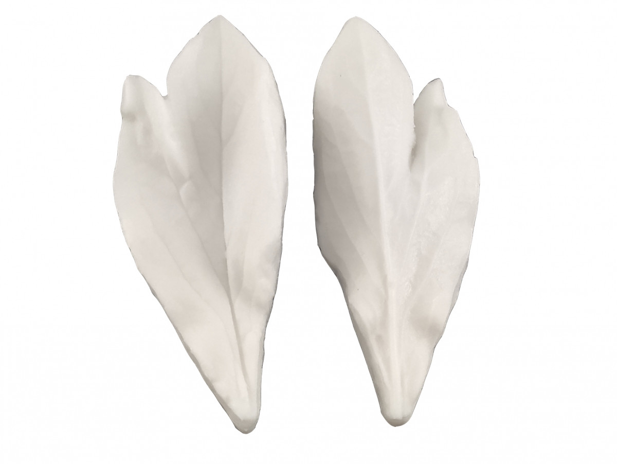 Вайнер Лист півонії 1