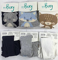 Колготки baby для мальчика демисезонные,Boxy (размер 12-18м.)