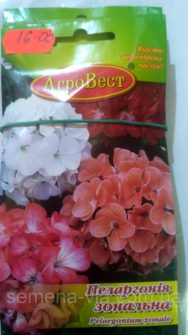 Пеларгонія суміш /5 шт./ (в пакованні 10 пакетів)