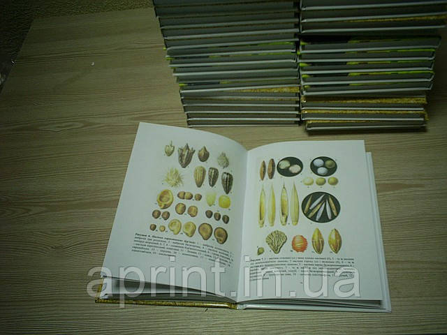 Друк книг