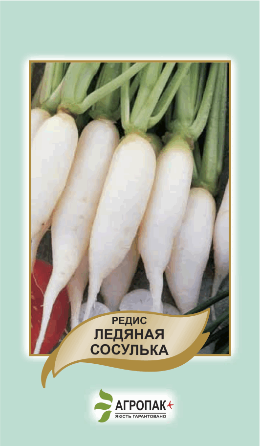 Редис Крижана Бурулька 3 р