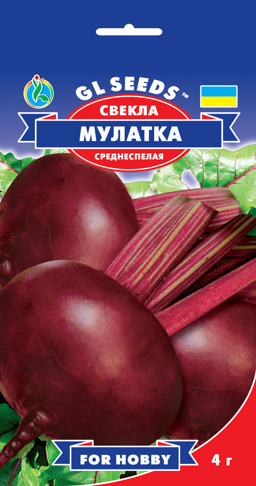 Буряк Мулатка середньостигла 4 г