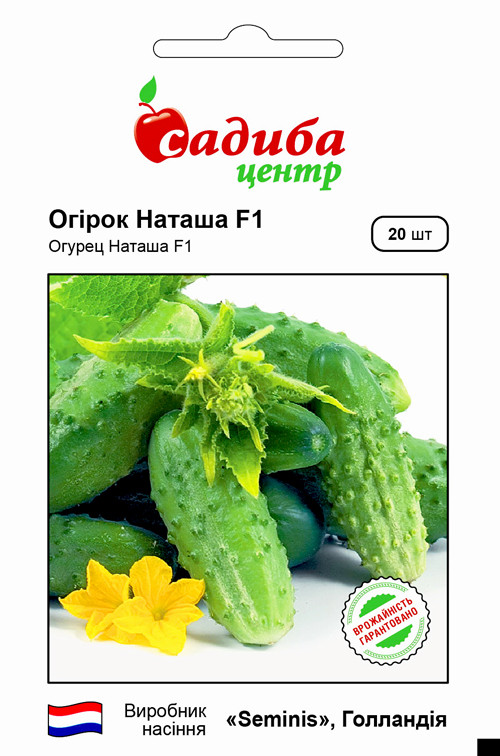 Огірок Наташа F1 (СЦ) 20 насінин