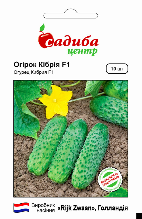 Огірок Кибрия F1 (СЦ) 10 насінин