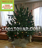 Тренога-підставка для Новорічної ялинки металева з пластиковим відром, розкладне, фото 6