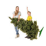 Тренога-підставка для Новорічної ялинки металева з пластиковим відром, розкладне, фото 7